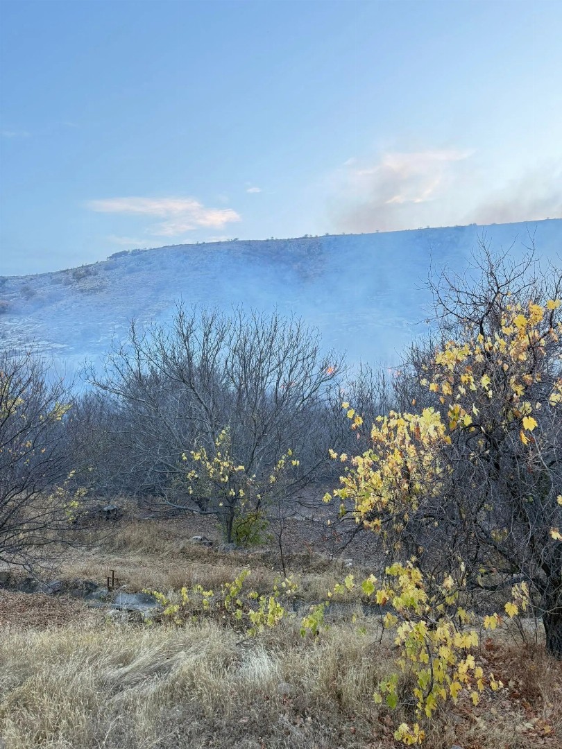 **Ürgüp Demirtaş Köyü’nde Korkutan Yangın: Bağ ve Bahçeler Küle Döndü**