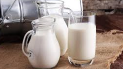 Çiğ süt desteklemeleri hesaplara geçiyor