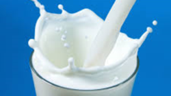 Turhan’dan süt üreticilerine çağrı