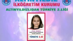 ALTINYILDIZLIDAN SATRANÇ TÜRKİYE 2.LİĞİ