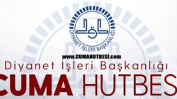 Hayvanlara merhamet: dinî ve insanî sorumluluğumuz