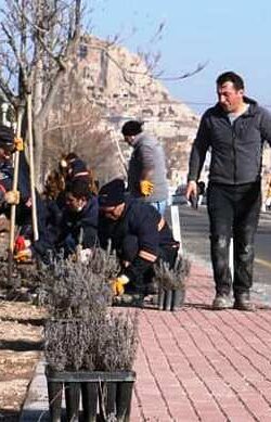 KAPADOKYA’NIN ZİRVESİNDE LAVANTA ESECEK