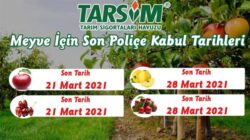 TARSİM meyve için poliçe son kabul tarihleri