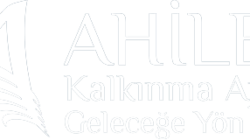 Akademik araştırmaları destekleme programı ilan edildi