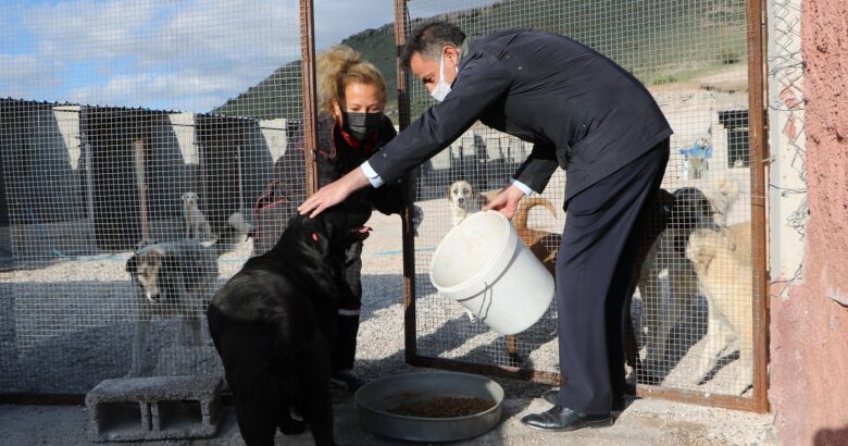  Belediye Başkanı Osman Süslü sokak hayvanlarını unutmadı