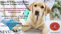 Derinkuyu MYO veterinerlik bölümüne 50 öğrenci alacak