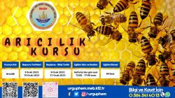 Ürgüp HEM’de arıcılık kursu açılacak