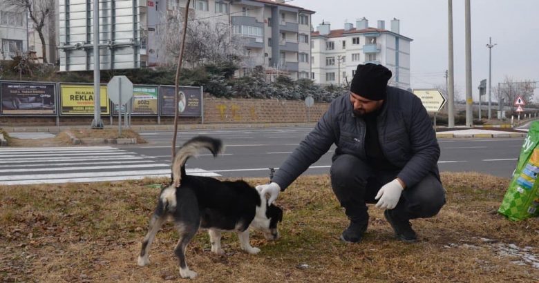  Gülşehir belediyesi Patili dostları unutmuyor