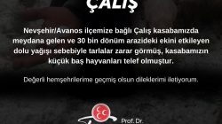 “Geçmiş olsun Çalış”