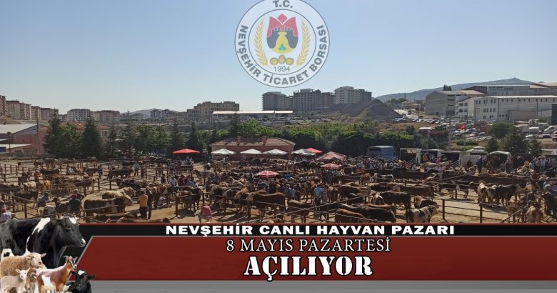  Nevşehir Canlı Hayvan Pazarı Açılıyor