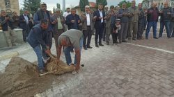 Karapınar’da şükür kurbanı kesildi