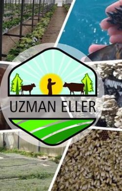 Uzman Eller Projesi asil liste askıya çıktı